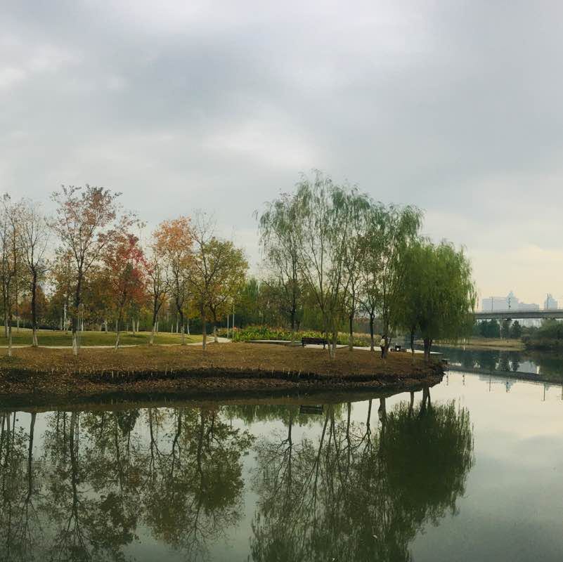 孝感市槐荫公园中部