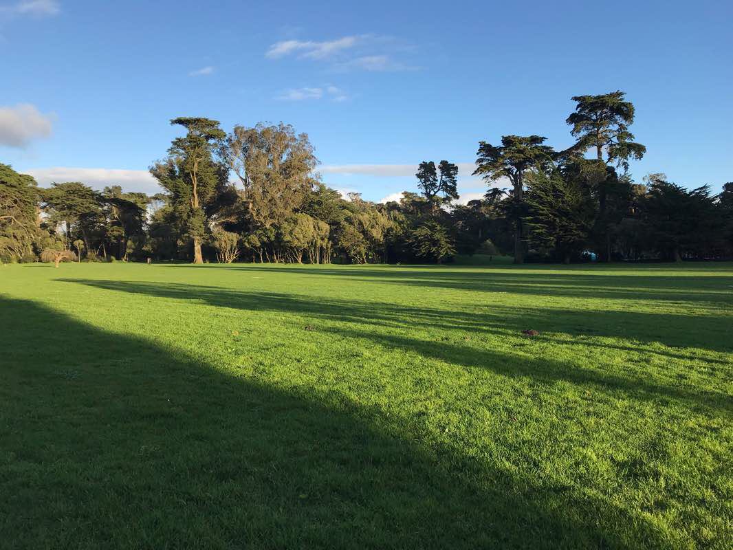 walking near me on Golden Gate Park walking route