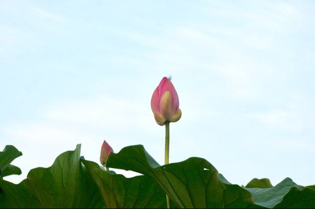 你好   微笑的信息