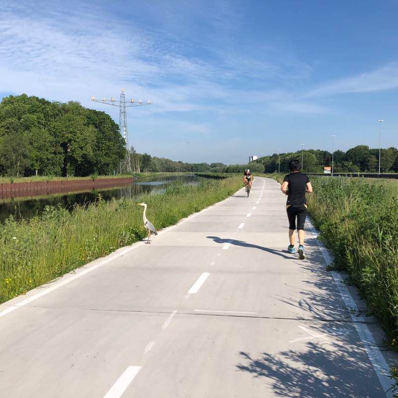 Along the river walking route map in Haren