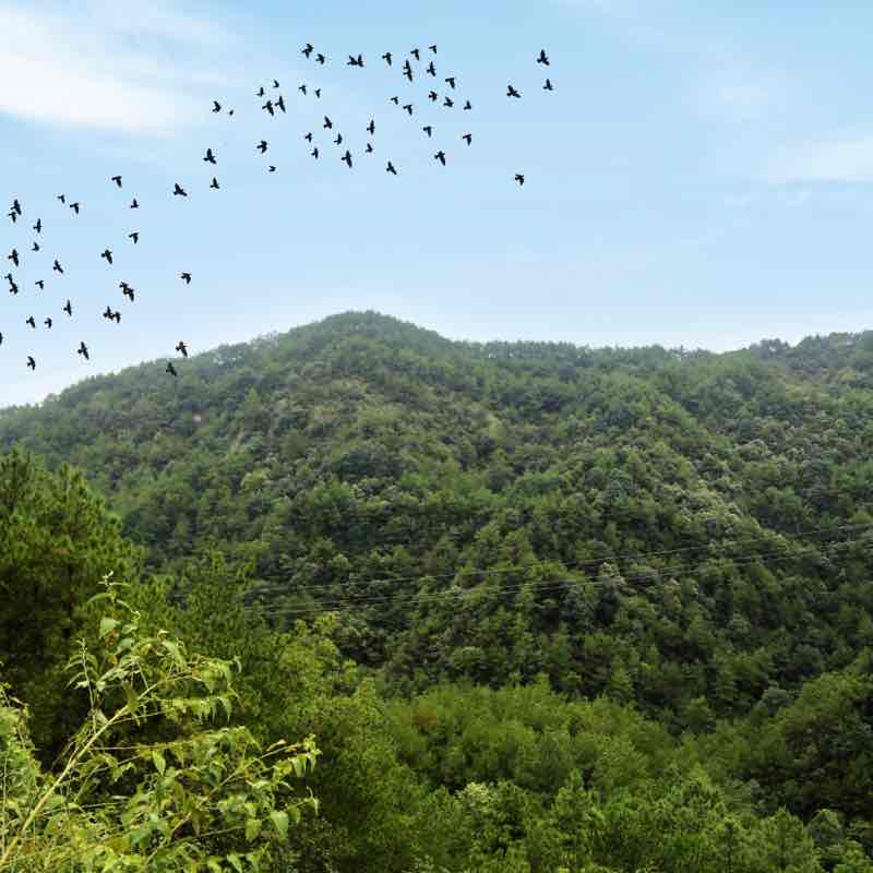 Linglong Mountain walking route map in Hangzhou