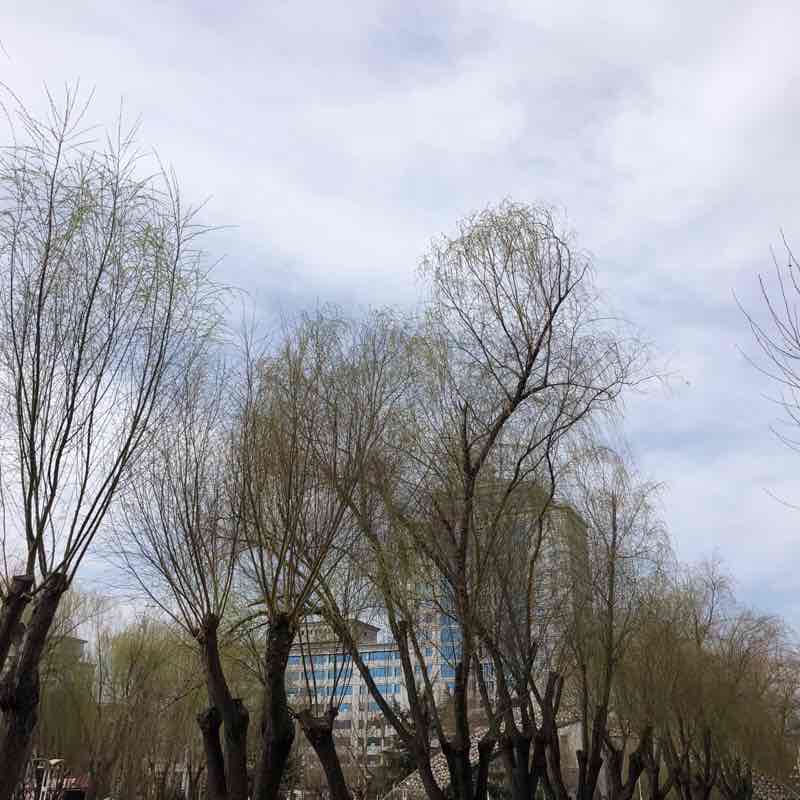 民心河