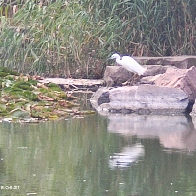 云中漫步-雨后春笋 post 1