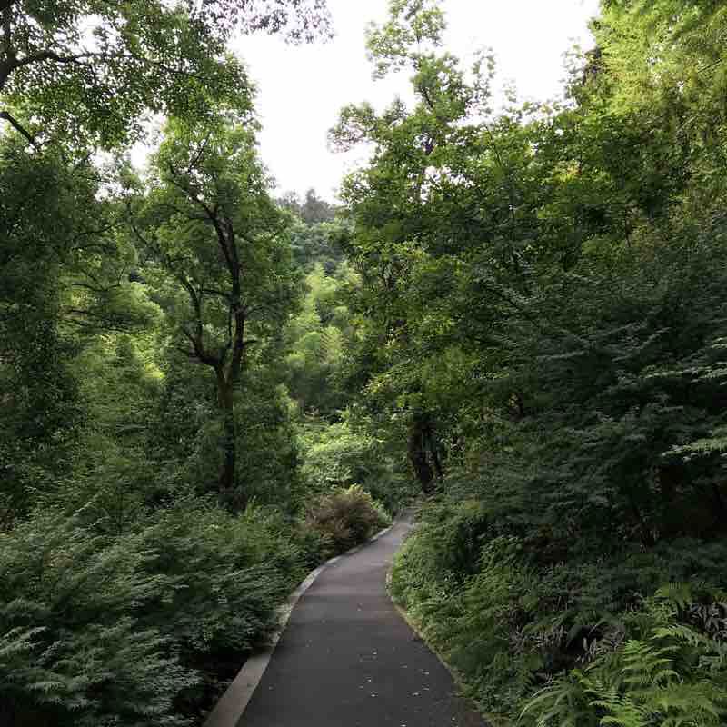 西溪谷步行、跑步线路