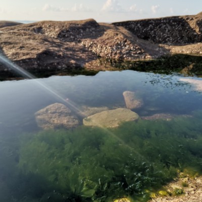 💓君 君💓 post 3