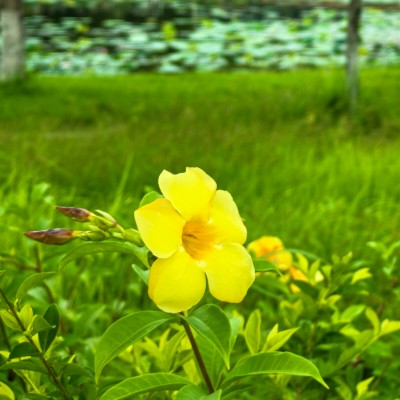 向前向前向前 post 3