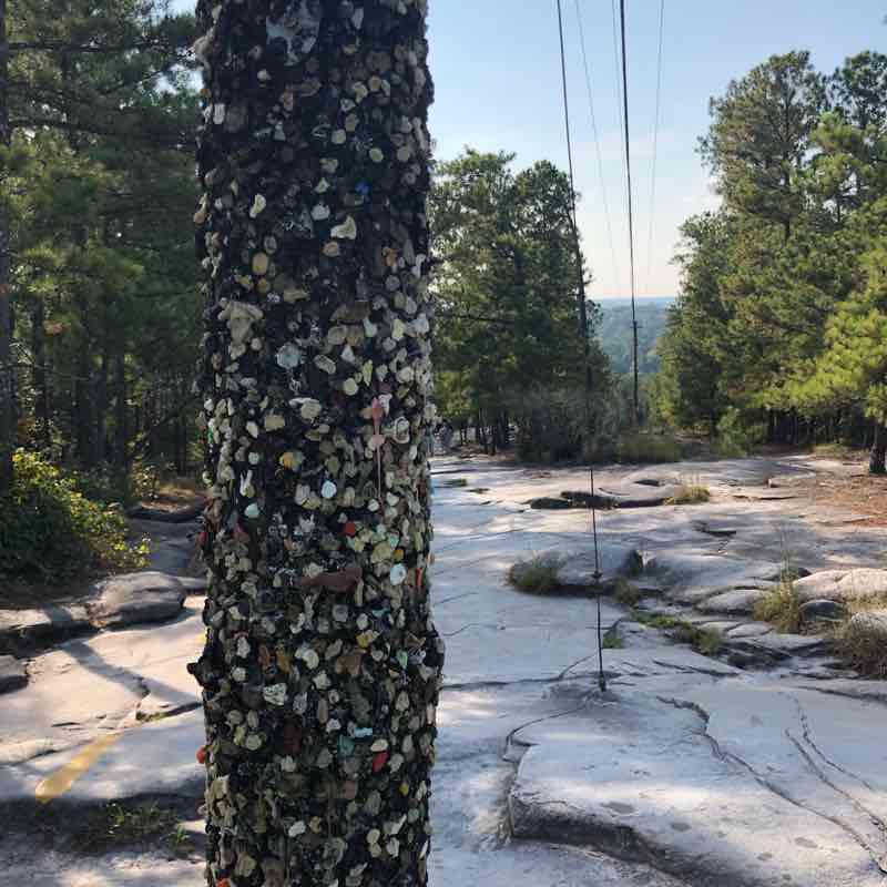 Stone Mountain  walking route map in Stone Mountain