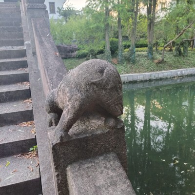 云中漫步-雨后春笋 post 2