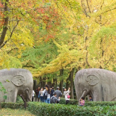 下马坊至明孝陵