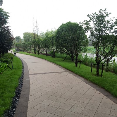 刚刚建好的秦塘公园  走路跑步都合适👍👍👍