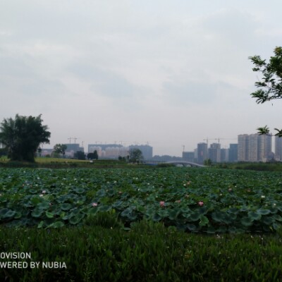 Ailian Lake walking route map in He Zhou Shi