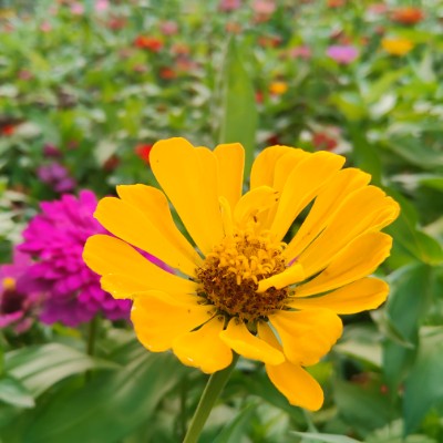 神堂峪村小河边漫步，感觉不错，可以带娃没走多远