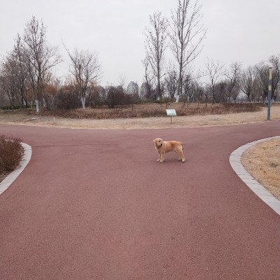 Binhai Anti-drug Theme Park walking route map in Weifang