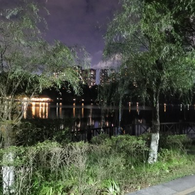 我们家的后花园