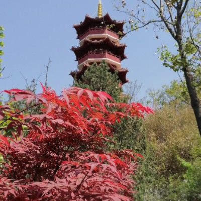 湖东路