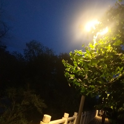 七里河