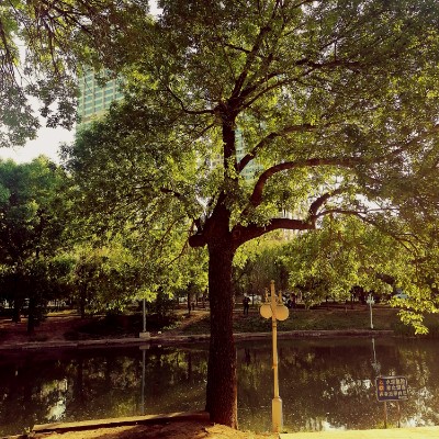 三条石大街南运河南北路运河公园