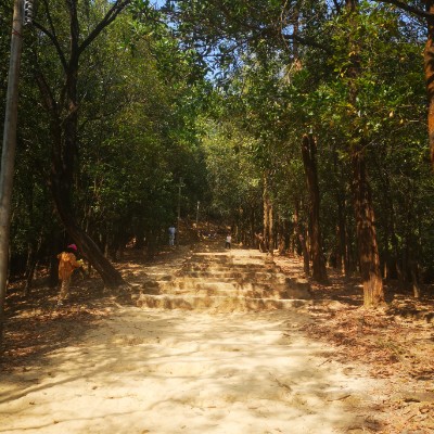 大尖山森林公园