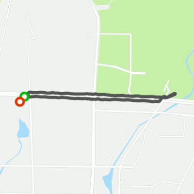 世园大道