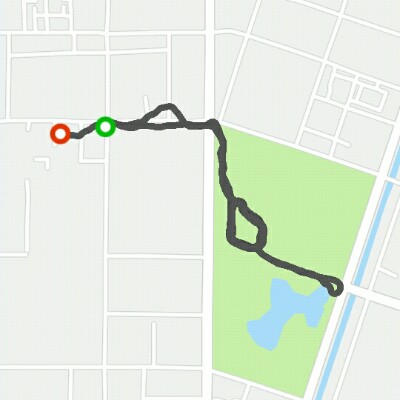 劳动公园-健步道-荷花池