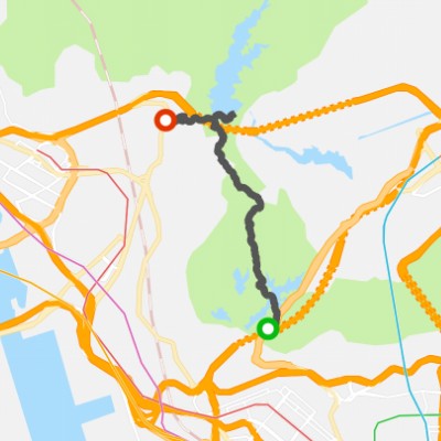 大埔道馬騮山徒步到到梨木樹邨