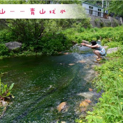 玉渡山草甸–瀑布