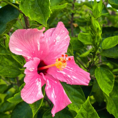 向前向前向前 post 3